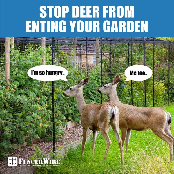 How to Install a Deer Fence to Keep Wildlife Out of the Garden 2