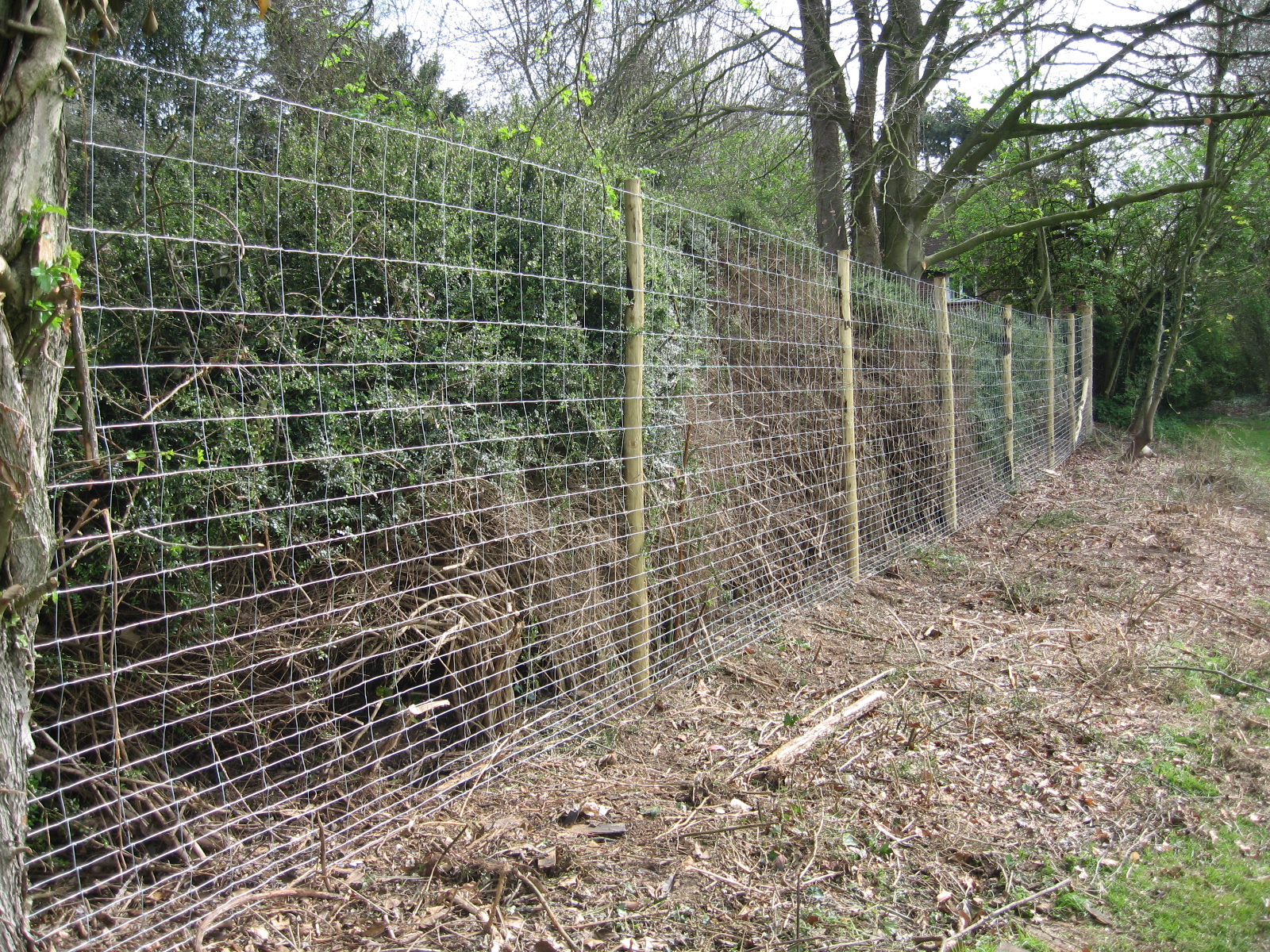 How to Install a Deer Fence to Keep Wildlife Out of the Garden 3
