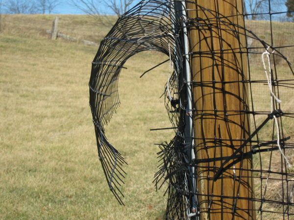 How to Install a Deer Fence to Keep Wildlife Out of the Garden 5