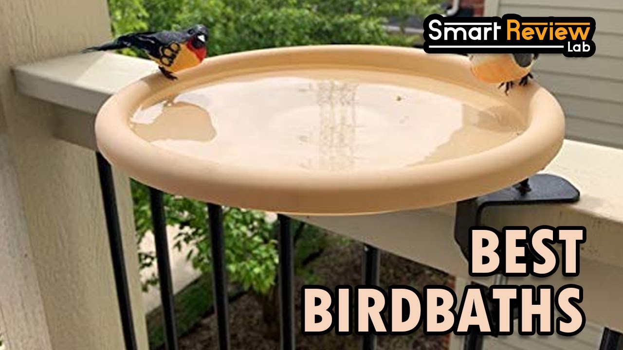 11 of the Best Birdbaths: Your Guide to Water Features for Your Feathered Friends 2