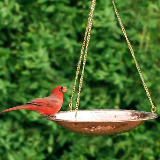 11 of the Best Birdbaths: Your Guide to Water Features for Your Feathered Friends 2