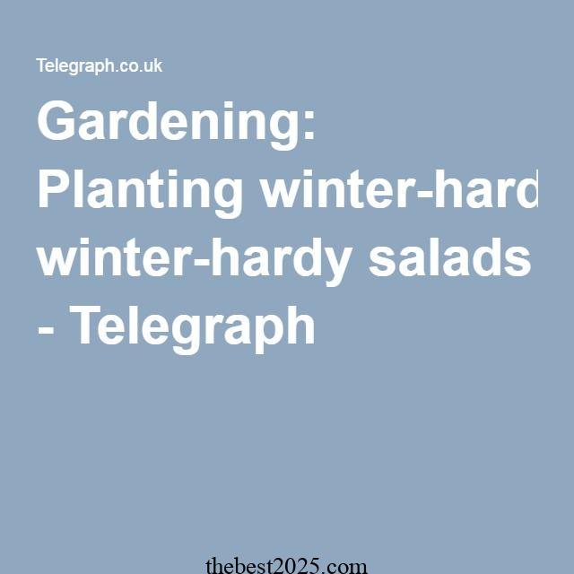 7 Hardy Salad Greens for Winter Gardens 5