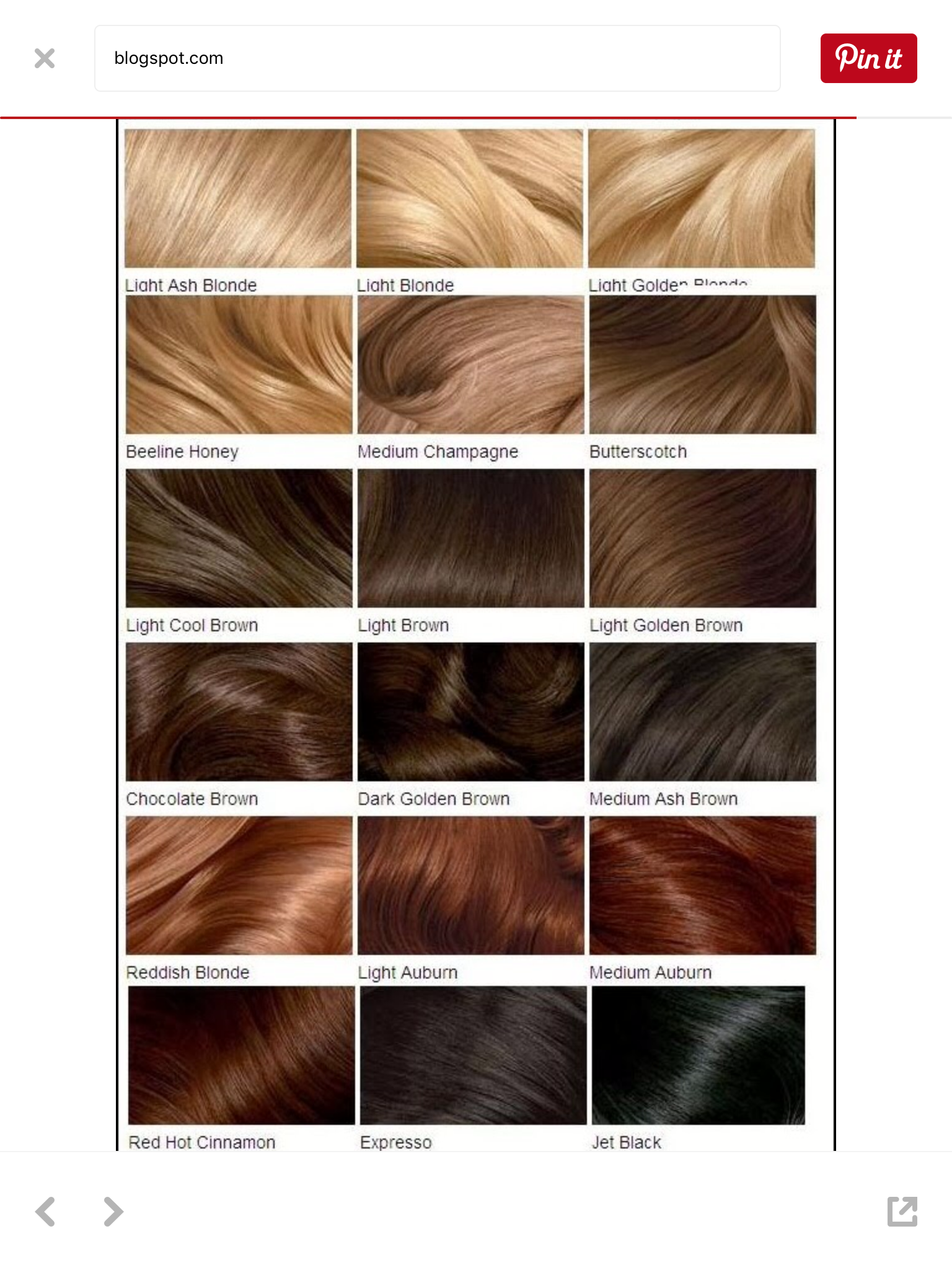 + 8 honey blonde hair color chart honey blonde hair this year 2
