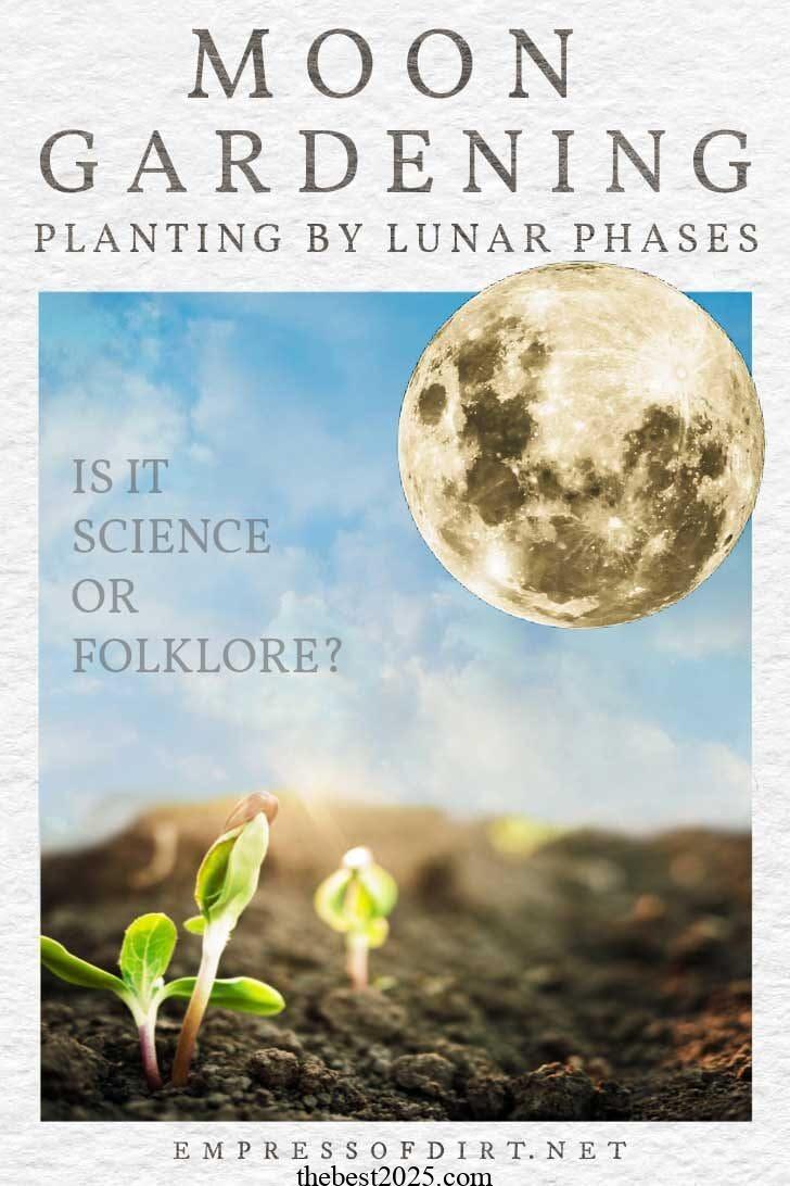 Gardening Myths Explored: Planting by the Moon Phase 3