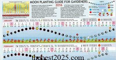 Gardening Myths Explored: Planting by the Moon Phase 4
