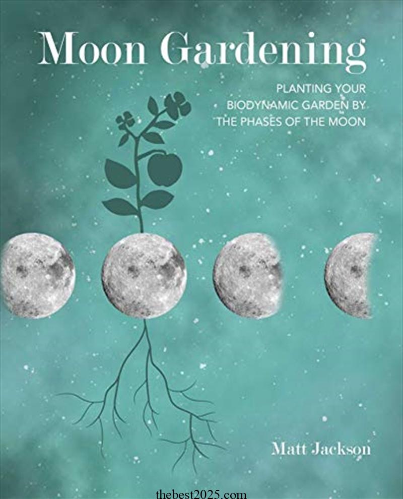 Gardening Myths Explored: Planting by the Moon Phase 5
