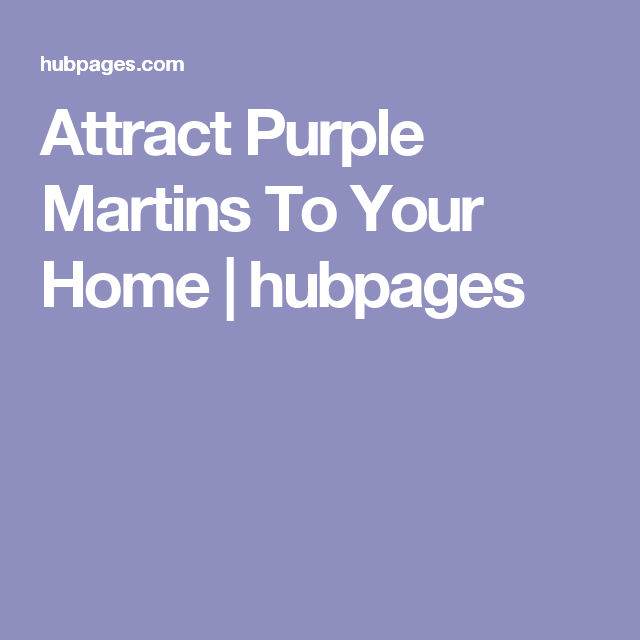 How to Attract Purple Martins to Your Garden 3
