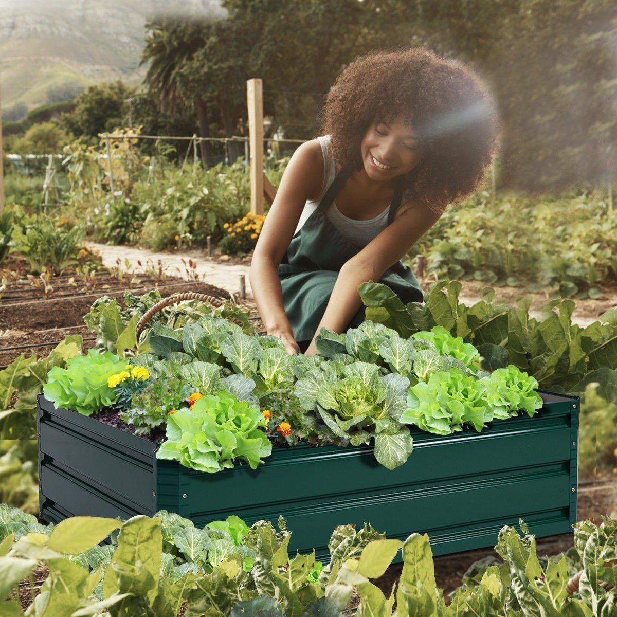 How to Create a Hotbed Garden to Extend Your Growing Season 2