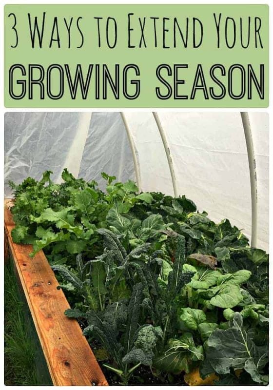 How to Create a Hotbed Garden to Extend Your Growing Season 4