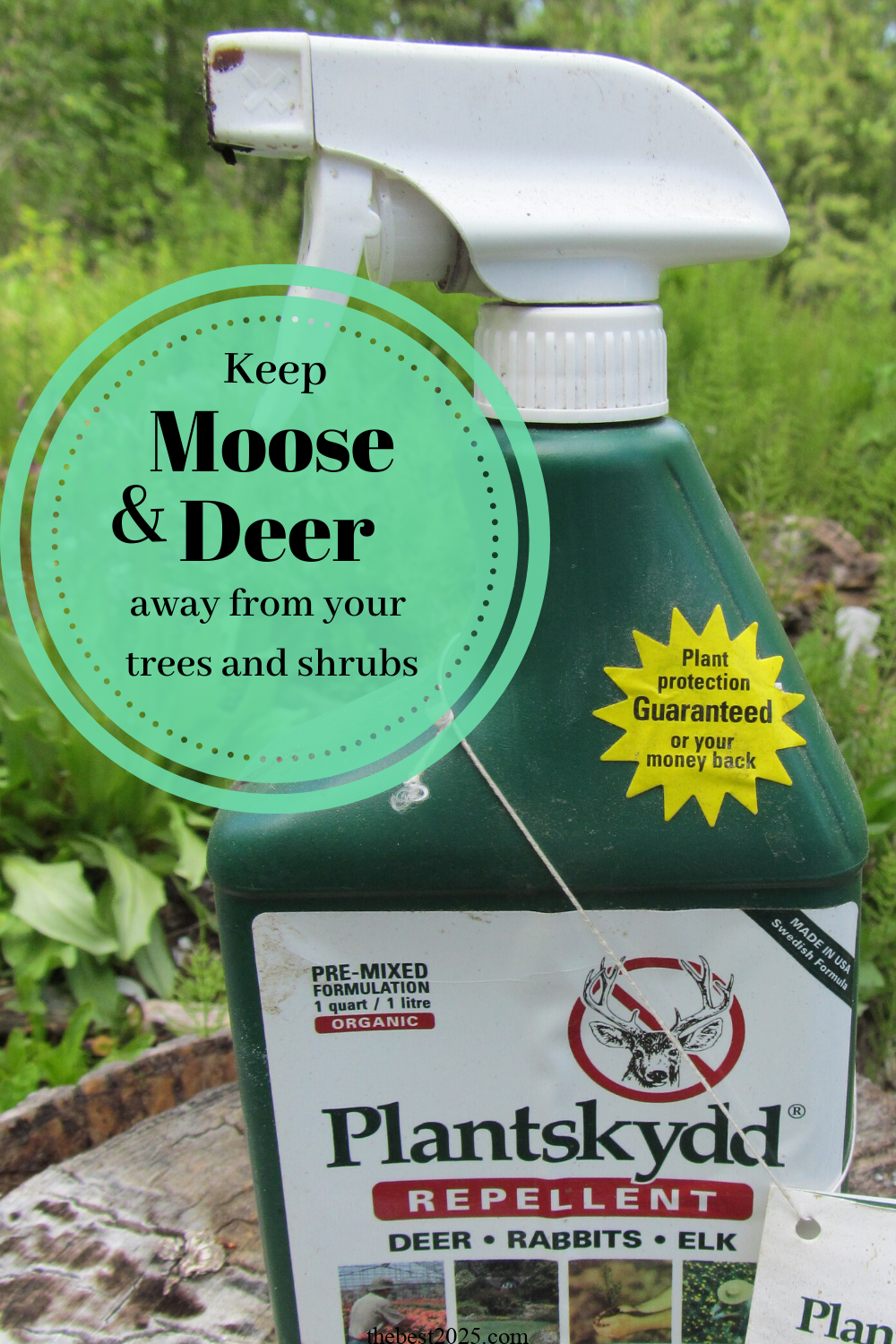 How to Keep Moose Out of Your Garden and Orchard 5