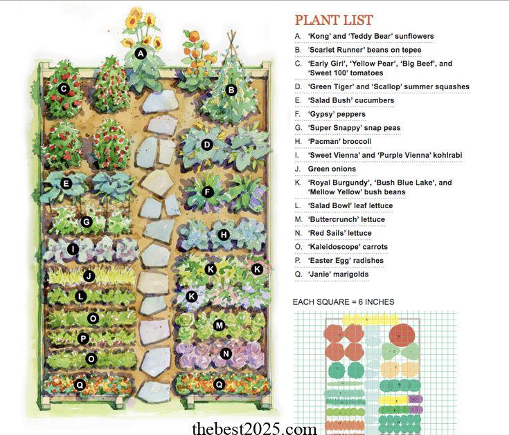 How to Plan the Best Layout for Your Vegetable Garden 2