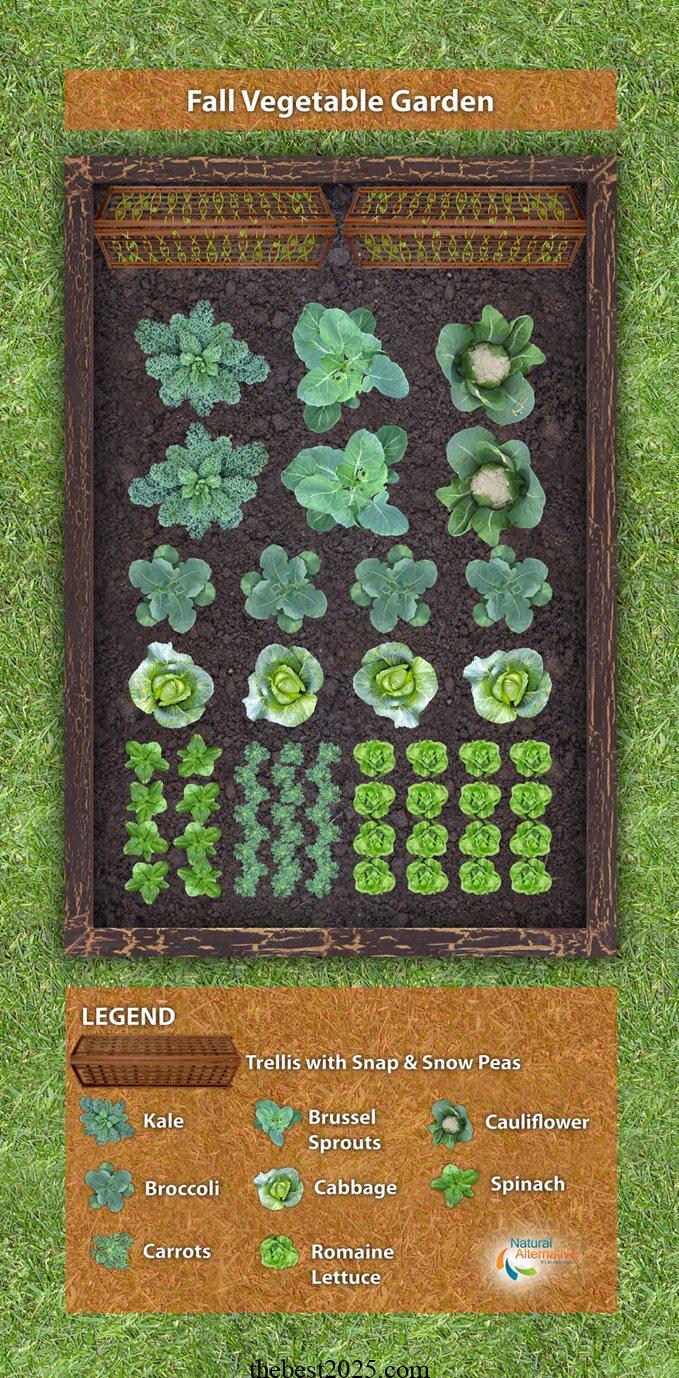 How to Plan the Best Layout for Your Vegetable Garden 3