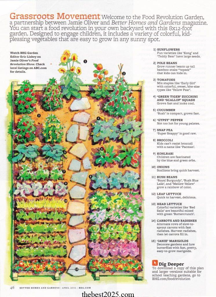 How to Plan the Best Layout for Your Vegetable Garden 5