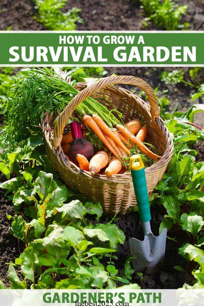 What Is a Survival Garden? Tips to Grow Your Own 4